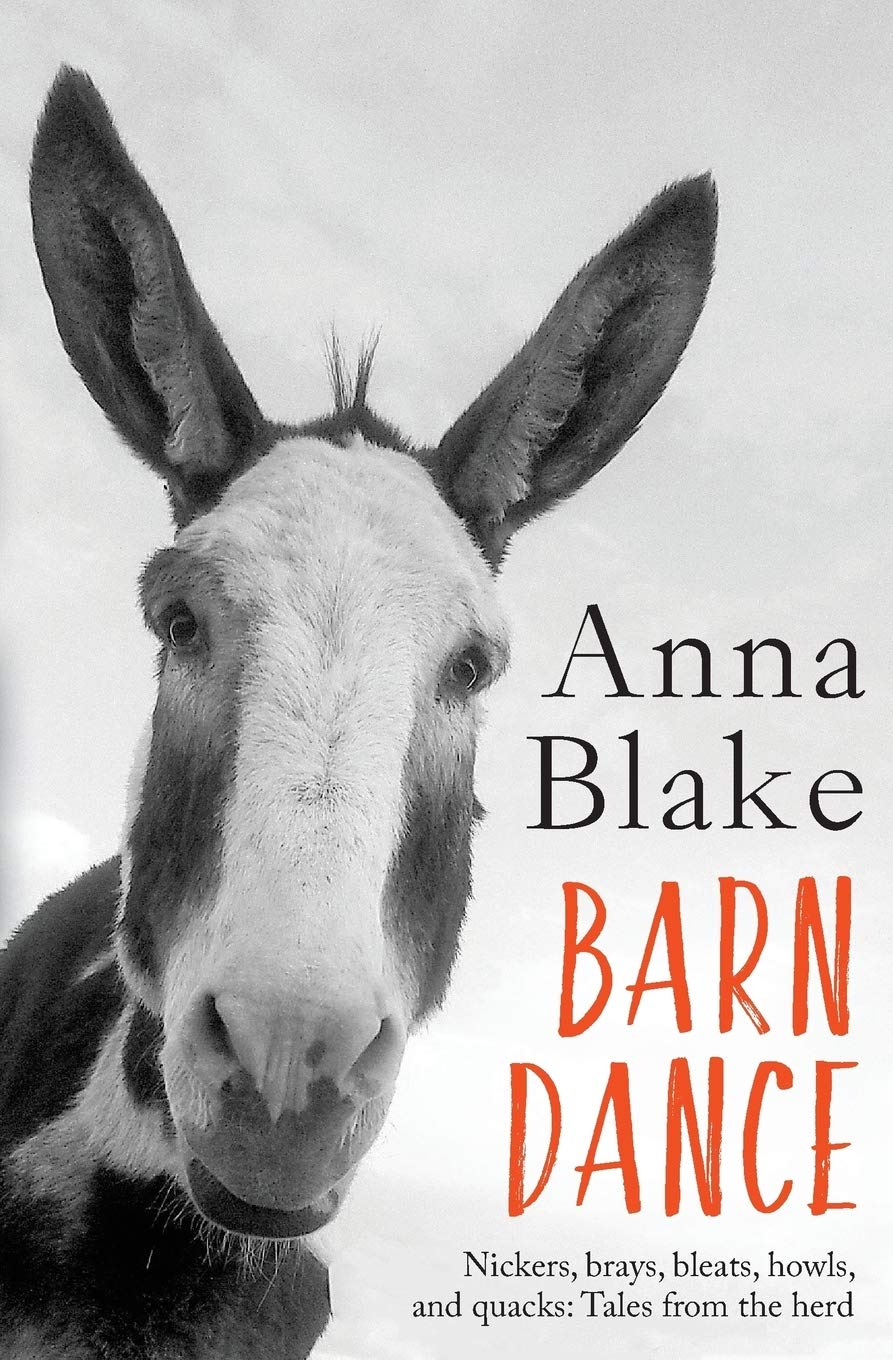 Barn Dance Nickers Brays Bleats Howls And Quacks Tales From