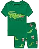 Little Boys 2 Piece Short Pajamas Crocodile