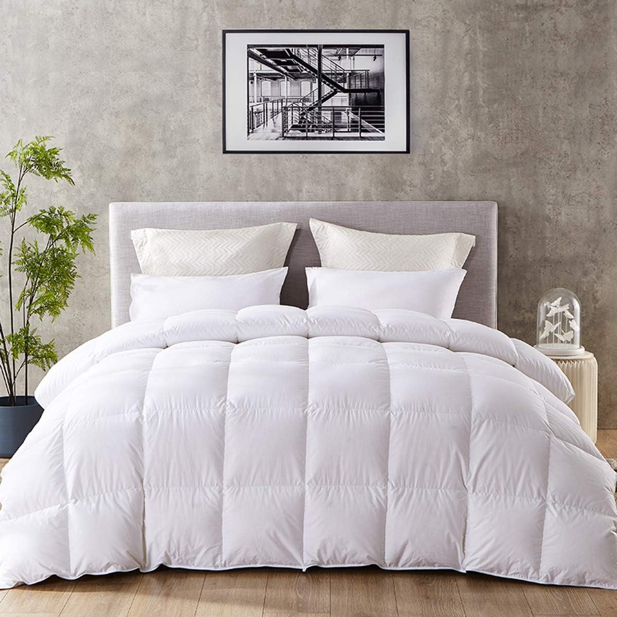 Coozii Goose Down Alternative Comforter Queen 90 x 90 Inch,Ultra Soft Brushed Microfiber， Quilt with Corner Tab for All Season Hypoallergenic Plush Mircofiber Comforter Duvet Insert （Deals）