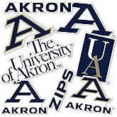 Desert Cactus The University of Akron Sticker Zips UA Vinyl Decals Laptop Water Bottle Car Scrapbook Sheet T2 (Type 2)