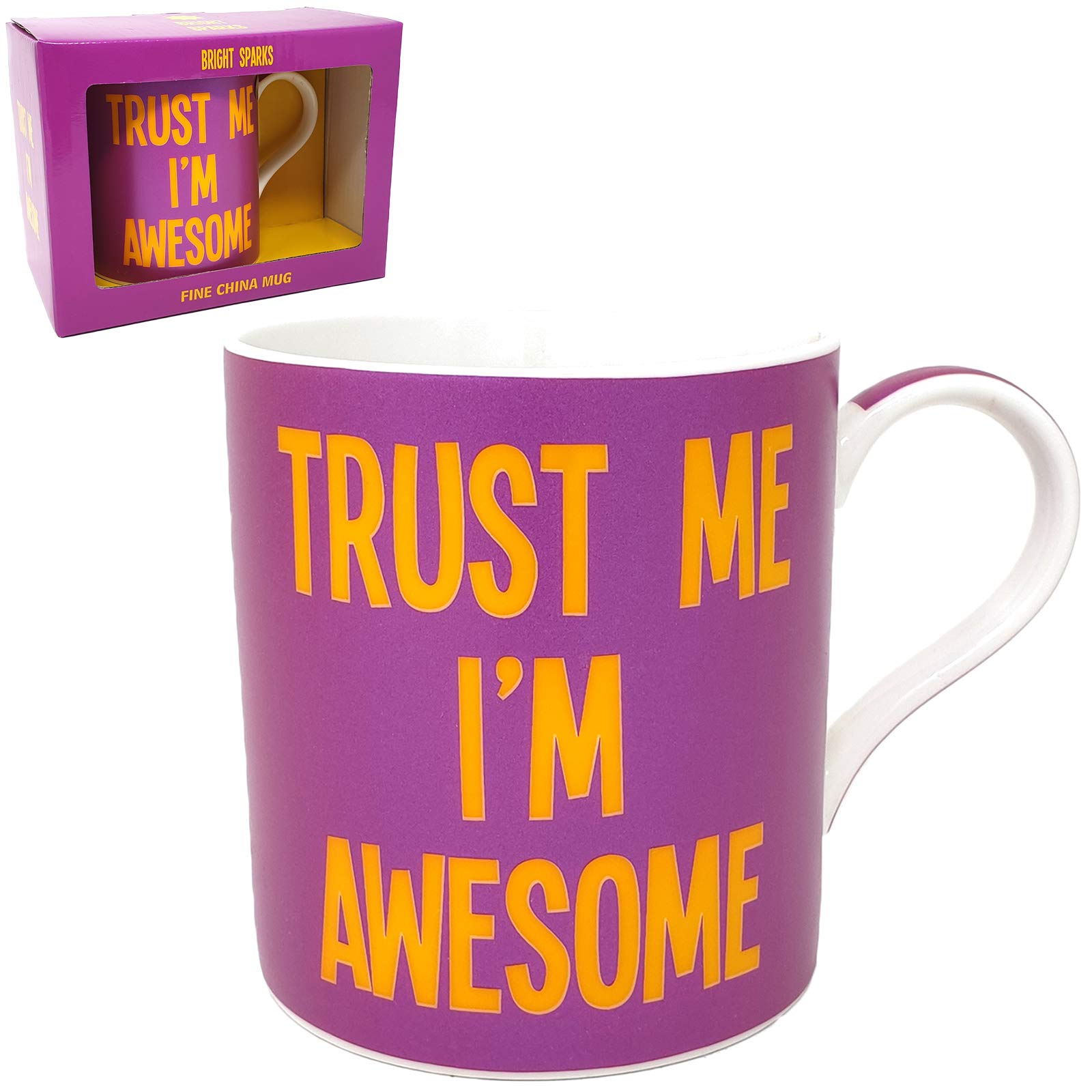 Wise Words Colourful Novelty Mug Gift Boxed"Trust Me I'm Awesome"