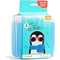 Fit & Fresh Cool Coolers Reusable Ice Packs, Set of 4, Clear, Package may vary