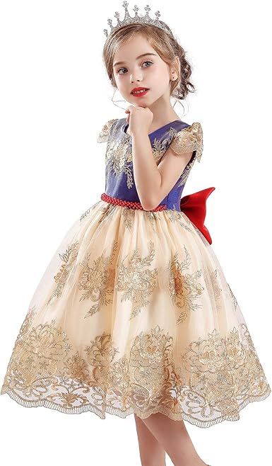 Ttyaovo Filles Princesse Robe De Fete D Anniversaire Filles Broderie Fete De Mariage Robe De Reconstitution Historique Amazon Fr Vetements Et Accessoires