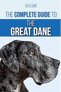 a new owner's guide to great danes