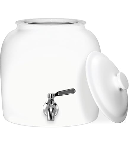 Amazon.com: New Wave Enviro Products Porcelain Water Dispenser