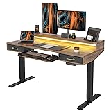 FEZIBO 48 x 24 Inch Height Adjustable Electric