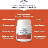 Dorwest Herbs Scullcap & Valerian Calming Tablets for Dogs & Cats 100 Tablets view 6