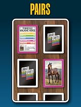Smart Cards Smart Cards Horse & Pony Card Game 7 Games Travel Pack view 8