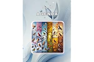 Agenda 20025