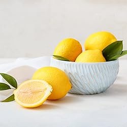 Garden State Bulb Meyer Lemon Tree, Citrus Live