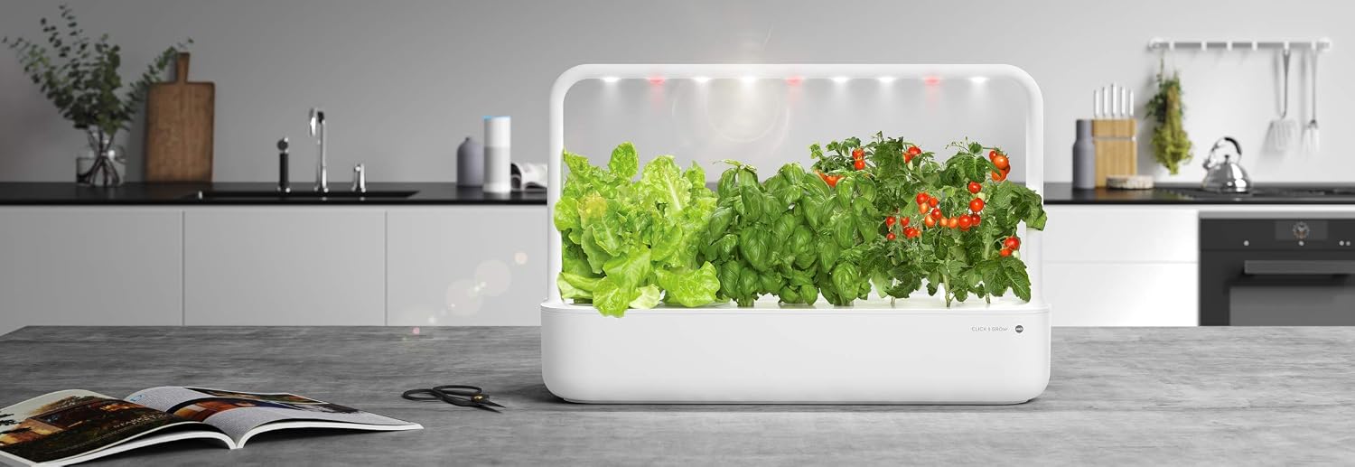 Emsa 3 Cápsulas Albahaca Click & Grow, Semillas apta para Smart ...