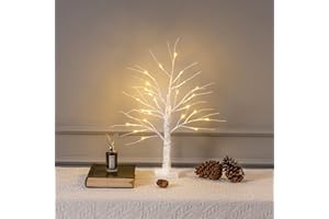 MEETYAMOR 2FT/24” Birch Tree Light with 24LT Warm White LED Battery Powered Timer for Christmas Decorations Indoor, Branch Money Trees for Winter Party Wedding Table Mantel Home Easter Decor