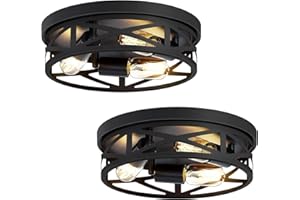 ZHU YAN 2 Pack Flush Mount Ceiling Light Fixture,3-Light Hallway Light Fixtures Ceiling,Black Ceiling Light Fixture,13 inch Light Fixture Ceiling Mount for Kitchen Entryway Hall,E26 Base