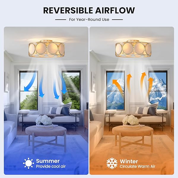 EPINL CAGED CEILING FAN WITH LIGHT – 19.7″ LOW PROFILE CEILING FAN WITH LIGHTS MODERN FLUSH MOUNT FANDELIERS WITH LIGHTS AND REMOTE 6 SPEED QUIET CEILING FANS FOR BEDROOM LIVING ROOM KITCHEN