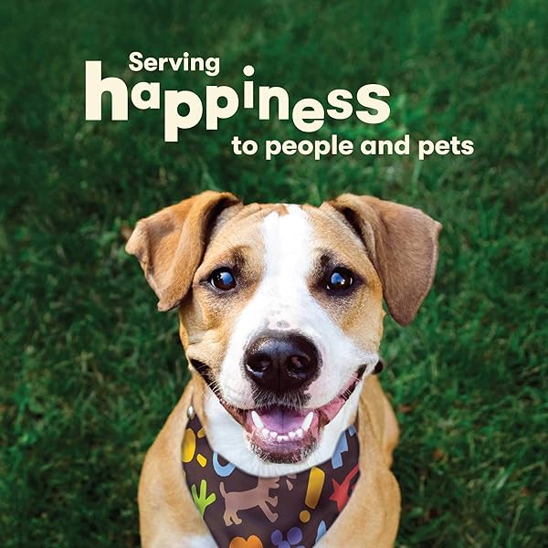 PET ‘N SHAPE DUCK ‘N HIDE TWIST – DUCK WRAPPED RAWHIDE NATURAL DOG TREATS, LARGE, 6 COUNT