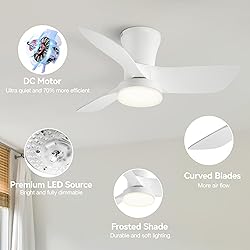 SUNMORY Ceiling Fans with Lights and Remote, 30