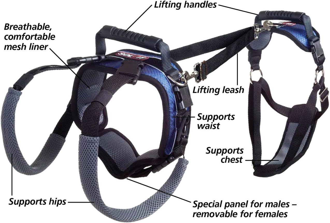 Dog Lifting Aid - Mobility Harness - Large Size : Pet Halter Harnesses : Pet Supplies