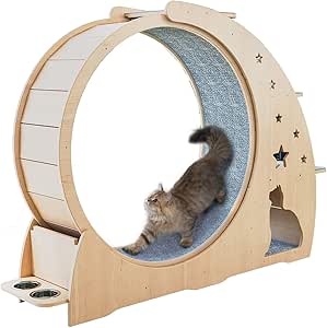 cat hamster wheel amazon