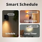 SONOFF BASICR4 Smart WiFi Light Switch 10A 2400W Alexa Google Home DIY Module view 5