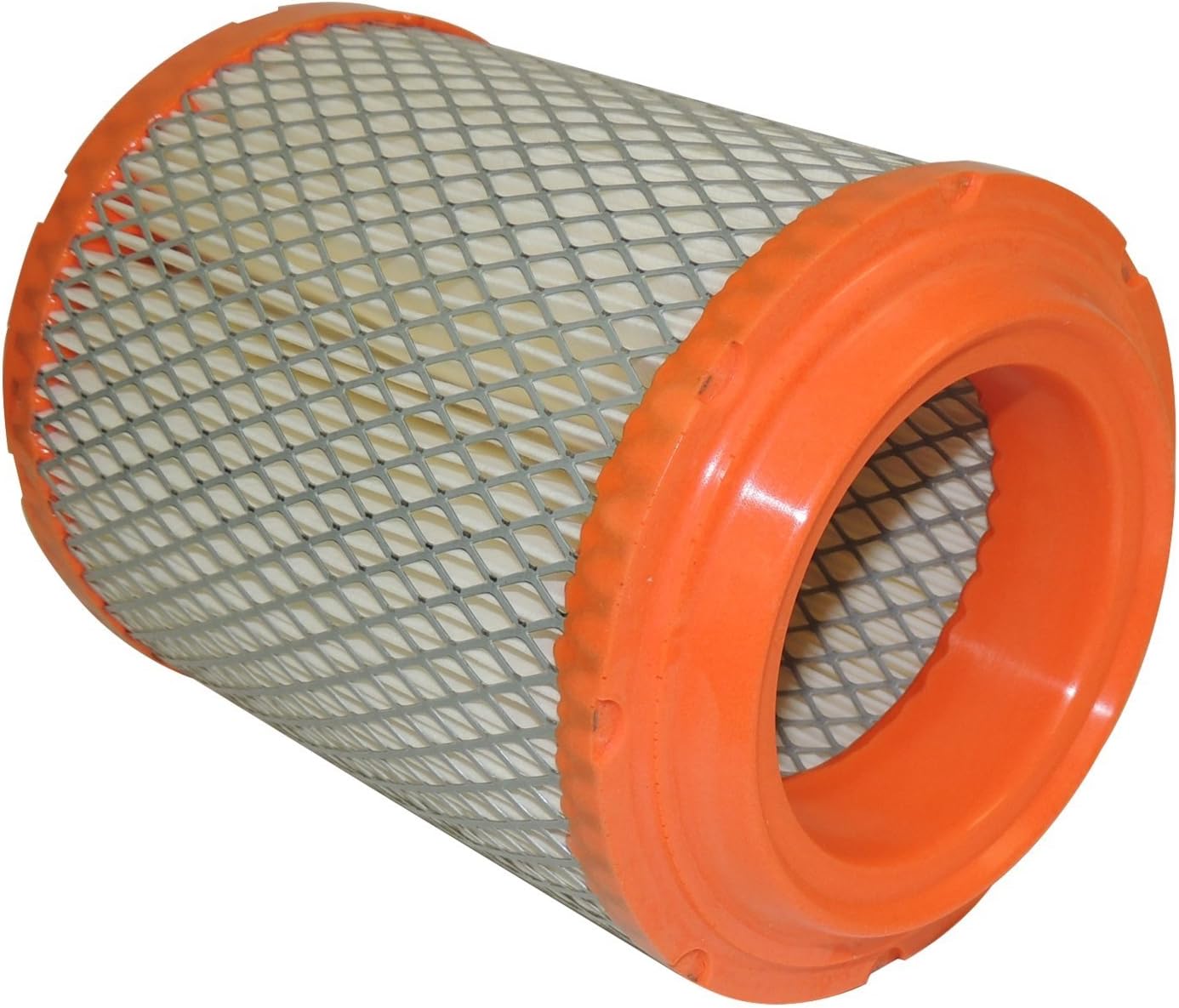 Genuine Chrysler 4593914AB Fuel Air Filter, Fuel Filters Amazon Canada