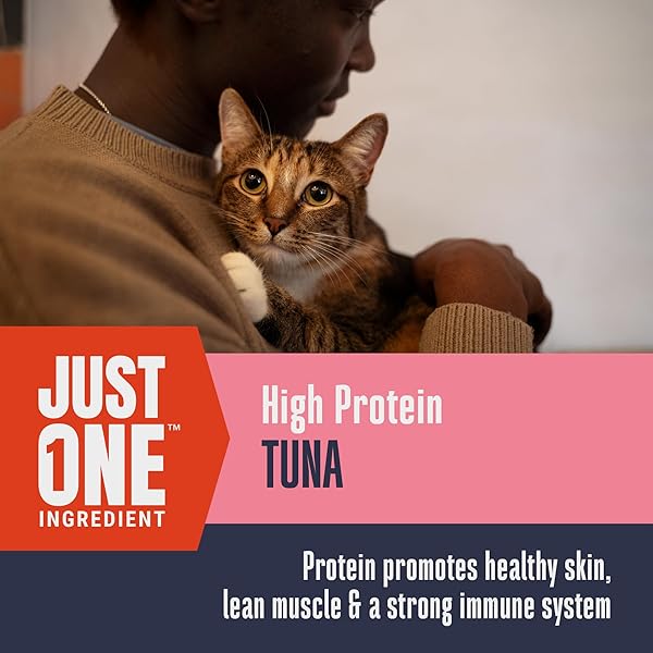 WHOLE LIFE CAT JUST ONE TUNA FREEZE DRIED CAT TREATS – HUMAN GRADE HIGH PROTEIN FOOD, HEALTHY TRAINING SNACKS, FREEZE DRIED TUNA FOOD TOPPERS, USA MADE NATURAL TREATS – 3 OZ (PACK OF 1)