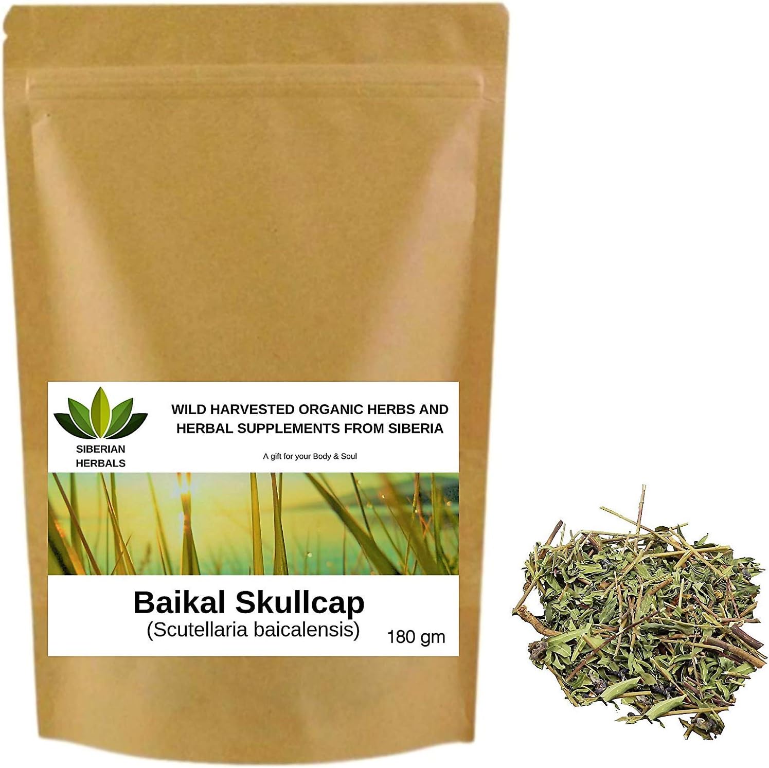 Baikal Skullcap Herb (Scutellaria baicalensis) Wild Harvested Organic Шлемник байкальский from Altai Mountains, Siberia, Russia. (180 gm)