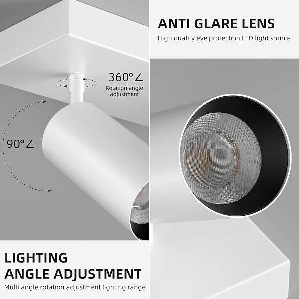 SPOTLIGHT INDOOR CEILING LED LIGHT,2 LIGHTS 40W MODERN SPOT LIGHT FIXTURES 4000K WHITE ACCENT 300°ADJUSTABLE PICTURE PAINTING FOR LIVING ROOM BEDROOM HALLWAY GALLERY FLUSH MOUNT DIRECTIONAL LIGHTING