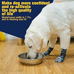 EXPAWLORER Anti Slip Dog Socks to Prevent Licking