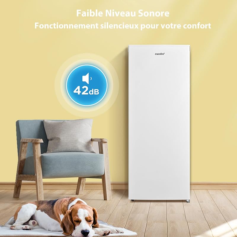 ' 160L Congélateur Armoire, Réglage de la température, Blanc