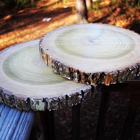 Amazon Com Natural Wood Slices Round Basswood Slabs 9 To