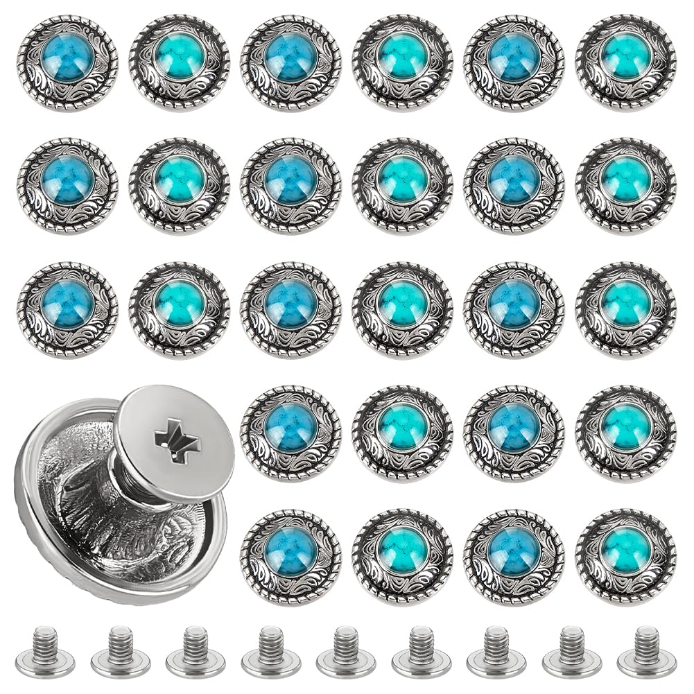 AHANDMAKER 24 Sets 4 Colors Alloy Decorative Buckles, Metal Screw Back Button Retro Leather Screw Rivets, Imitation Turquoise Round Shape Buttons for DIY Leather Craft