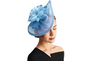 DRESHOW Women Fascinator Hats Tea Party Hat Vintage Pillbox Hat Headband for Cocktail