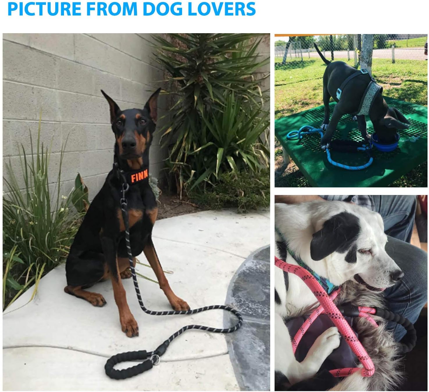 ladoogo 2 Pack 5 FT Heavy Duty Dog Leash with Comfortable Padded Handle Reflective Dog leashes for Medium Large Dogs : Pet Supplies