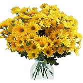 12 Bundles Mums Artificial Flowers Outdoor,Silk Bulk Daisy Fake Flower for DIY Bouquet,Faux Floral Arrangements for Kitchen Decor Coffee Table Centerpieces Home Garden Decorations(Yellow)