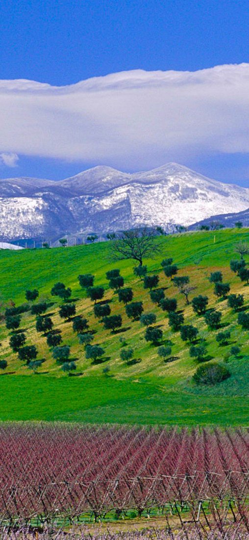 PeelitStickit, Beautiful Nature Wall Murals, ID-1345, vinyl