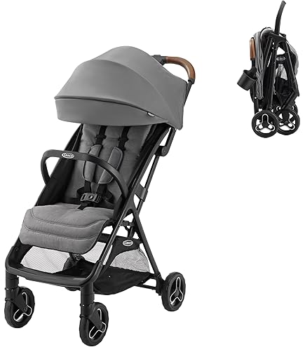 thule stroller Experience Outdoor Adventures in Thule Urban Glide 2 Jogging Stroller –  BrandsWalk main image 0