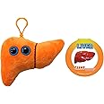 GIANTmicrobes Liver Plush Keychain – Anatomical Organ Toy, Get Well Gift for Post-Surgery or Illness, Unique Gift for Students, Educators, Doctors, Public Health Experts and Scientists