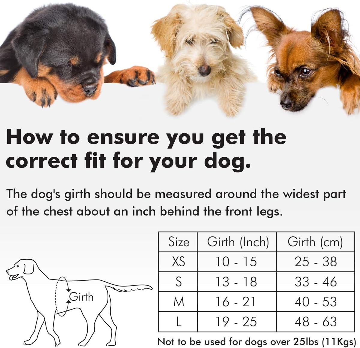 Metric USA Comfort Fit Step in Dog Vest Harness Easy to Put on Take Off Adjustable Soft Padded Puppy Harness Vest for Small and Medium Dogs (X-Small - Image 5