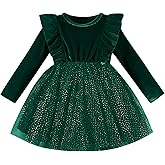DREAM BUS Toddler Girl Christmas Dress Baby Girl Long Sleeve Ruffled Velvet Top Tulle Dress Special Occasion Dress