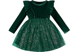 DREAM BUS Toddler Girl Christmas Dress Baby Girl Long Sleeve Ruffled Velvet Top Tulle Dress Special Occasion Dress
