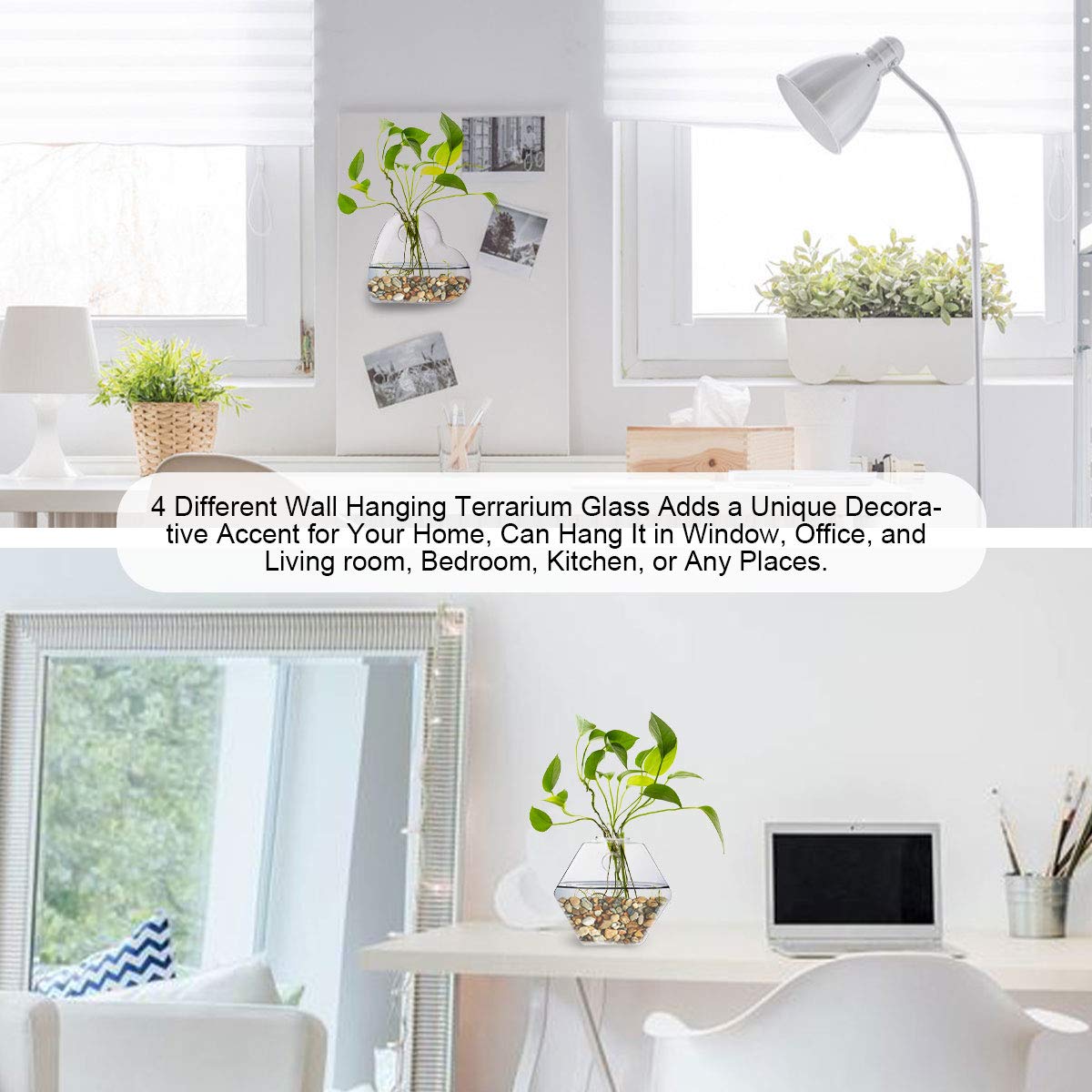 jiabang 4 Pack Wall Mounted Hanging Plant Terrarium Glass Planter Vase Flower Container for Home Decor,Air Plants,Hydroponics Plants