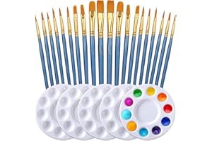 Paint Brushes Palettes Set by DUGATO, 2 Packs/20pcs Round Pointed Tip Nylon Hair Brushes with 5 Paint Trays for Acrylic Watercolor Oil Gouache Tempera and Body Painting