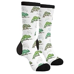 LUMANSITTER Cute Chameleon Cone Head Chamaeleo