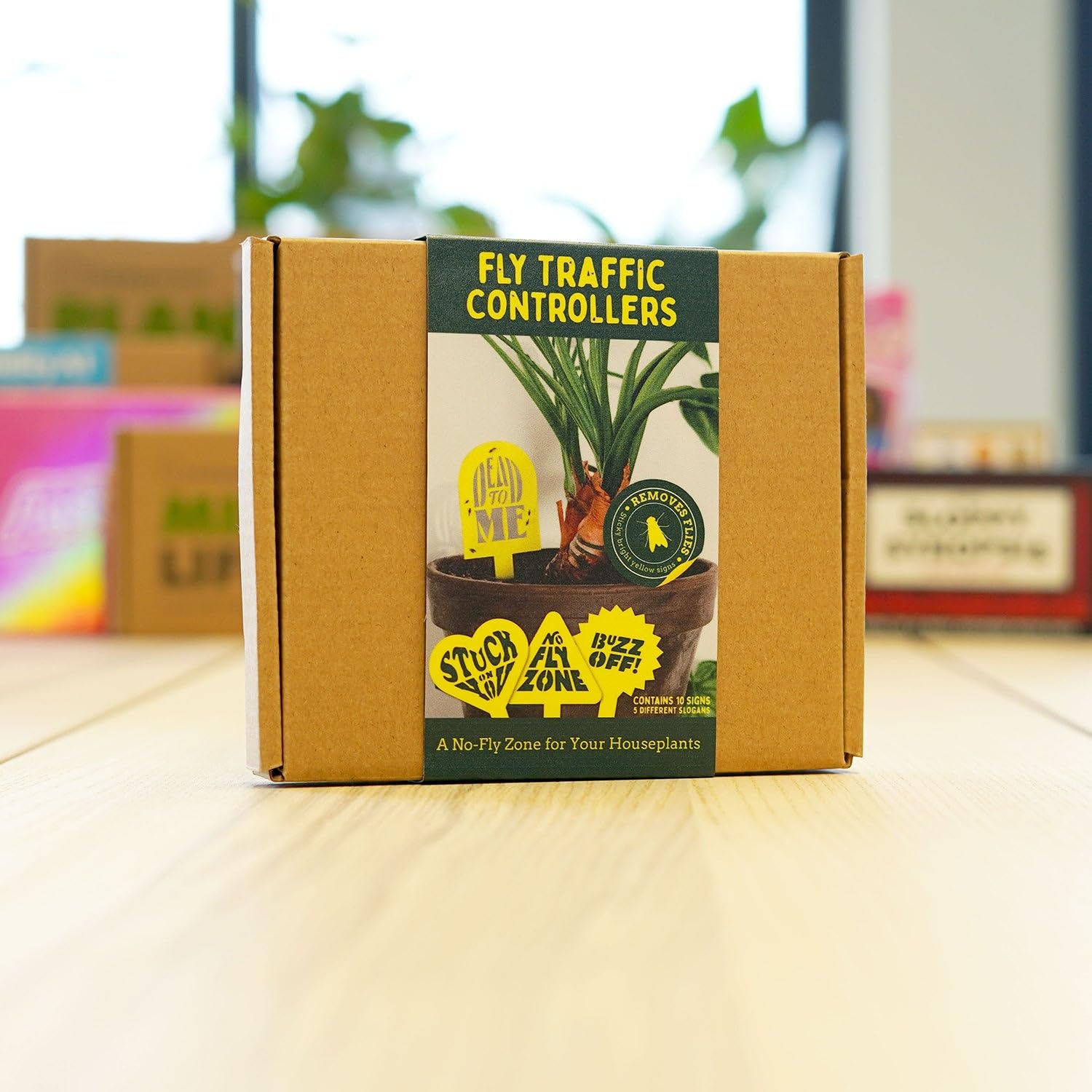 Fly Traffic Controllers