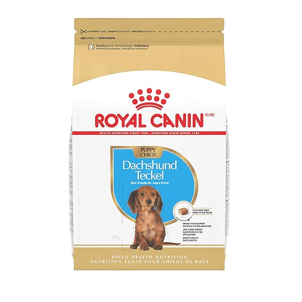 ROYAL CANIN BREED HEALTH NUTRITION DACHSHUND PUPPY DRY...