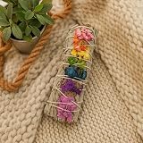 VIE Sage Smudge Stick 4" with White Sage & 7 Chakra Flowers - Handcrafted view 3