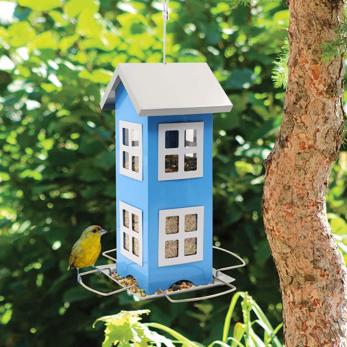 LIMEIDE Bird House Feeders for Outside, Hanging Bird feeders Weatherproof Country House Design for Easy Cleaning & Refills, Come with Hook to Hang on Tree, Poles in Backyard Garden, Patio (Blue) : Garden & Outdoor