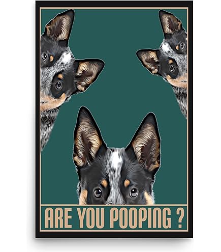 Amazon.com: Lovesout Funny Bathroom Wall Art Blue Heeler