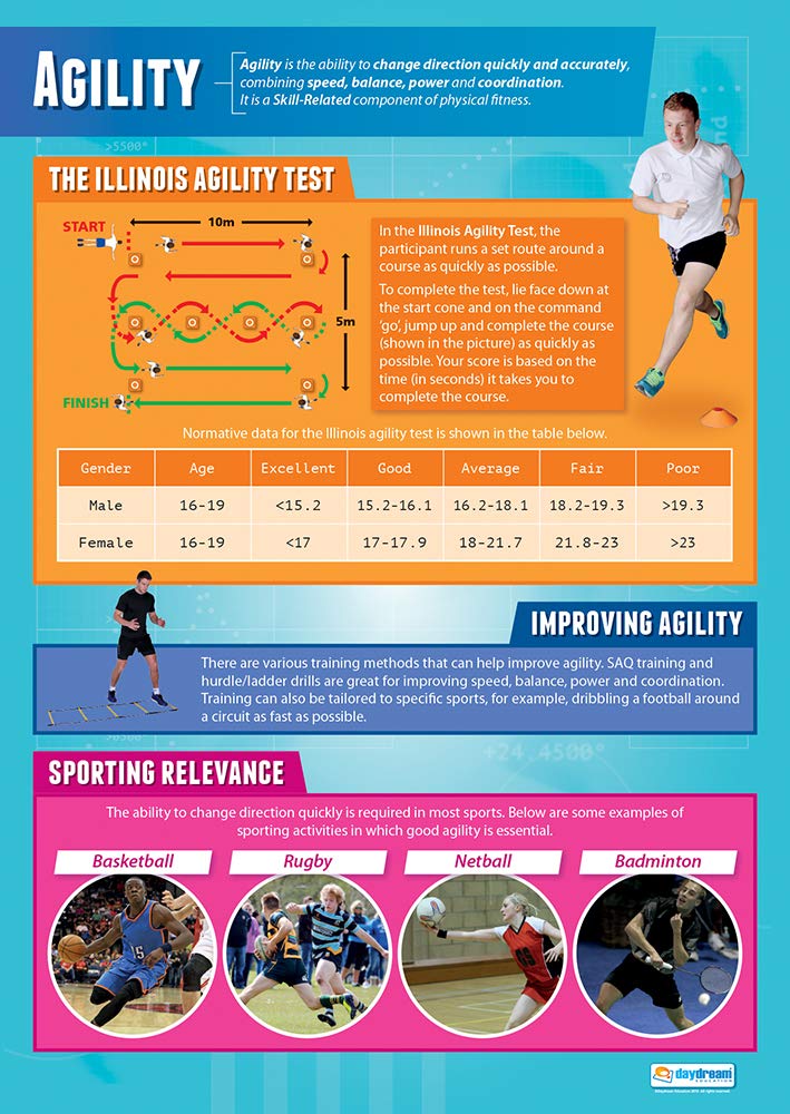Daydream Education Agility | PE Posters | Gloss Paper measuring 850mm x 594mm (A1) | Physical Education Charts for the Classroom