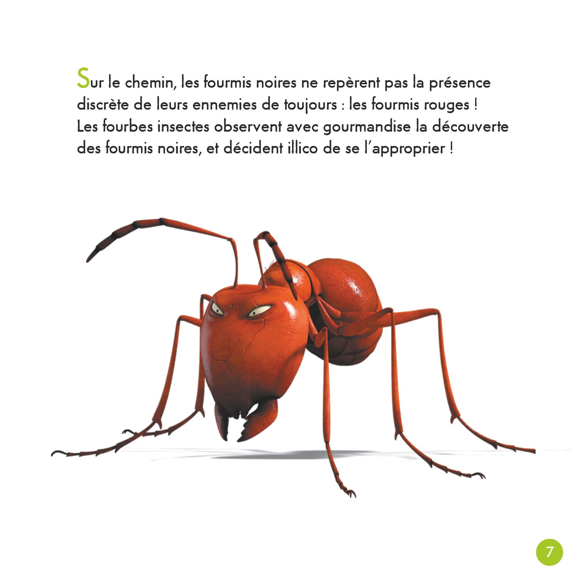 Minuscule 2 Album Illustre L Album Du Film Minuscule Minuscule 2 Album Illustre L Album Du Film French Edition Saenz Maya 9782344034644 Amazon Com Books